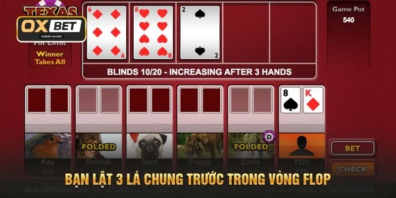 Poker Texas Holdem - Hướng Dẫn Tham Gia 4 Vòng Cược 