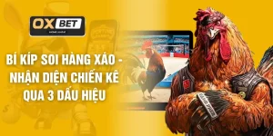Đá Gà OXBET - Phát Sóng Trực Tiếp Chuẩn HD 1080P Sắc Nét