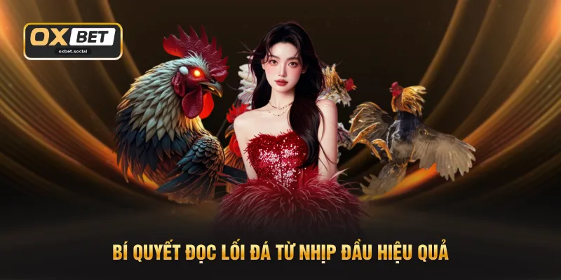 Bí Kíp Soi Hàng Xáo - Nhận Diện Chiến kê Qua 3 Dấu Hiệu 