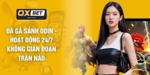 Đá Gà OXBET - Phát Sóng Trực Tiếp Chuẩn HD 1080P Sắc Nét
