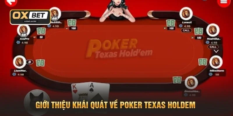 Poker Texas Holdem - Hướng Dẫn Tham Gia 4 Vòng Cược 