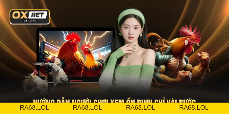 Trực Tiếp Gà Campuchia - Liên Tục Với Lịch Thi Đấu 24/7