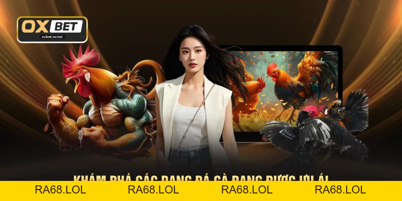 Đá Gà OXBET - Phát Sóng Trực Tiếp Chuẩn HD 1080P Sắc Nét
