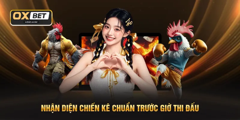Bí Kíp Soi Hàng Xáo - Nhận Diện Chiến kê Qua 3 Dấu Hiệu 
