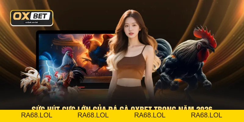 Đá Gà OXBET - Phát Sóng Trực Tiếp Chuẩn HD 1080P Sắc Nét
