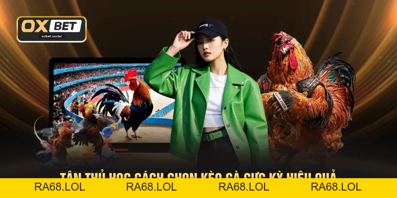 Trực Tiếp Gà Campuchia - Liên Tục Với Lịch Thi Đấu 24/7