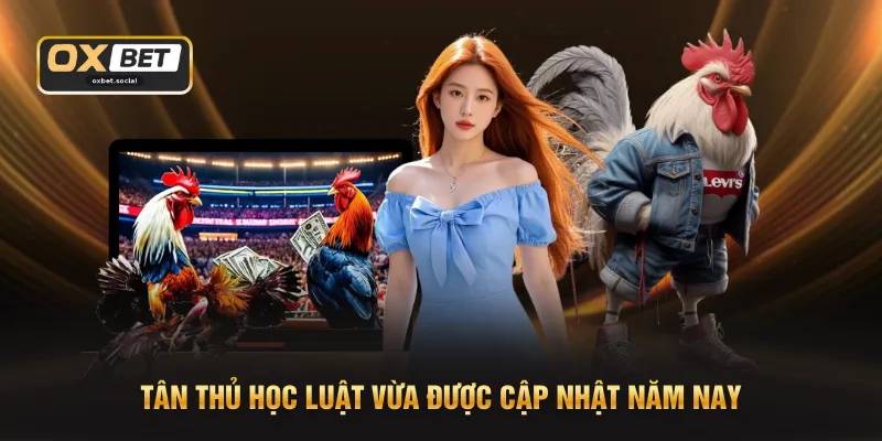 Đá Gà Sảnh ODIN - Hoạt Động 24/7 Không Gián Đoạn Trận Nào