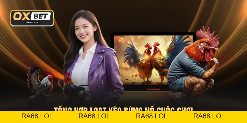 Đá Gà OXBET - Phát Sóng Trực Tiếp Chuẩn HD 1080P Sắc Nét