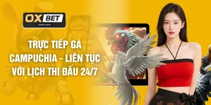Đá Gà OXBET - Phát Sóng Trực Tiếp Chuẩn HD 1080P Sắc Nét